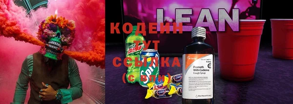 дурь Кодинск