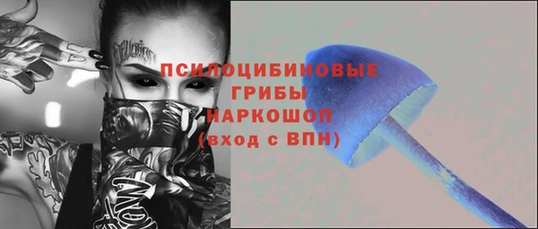гашик Козловка