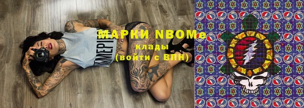 гашик Козловка