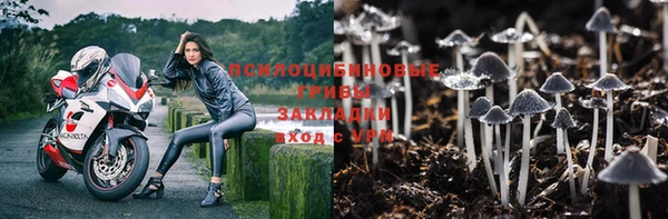 СК Красноперекопск