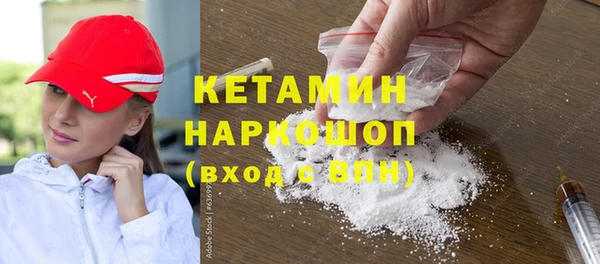 гашик Козловка