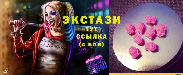 гашик Козловка