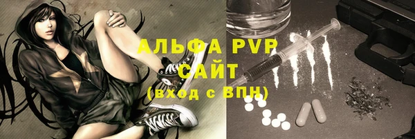 гашик Козловка