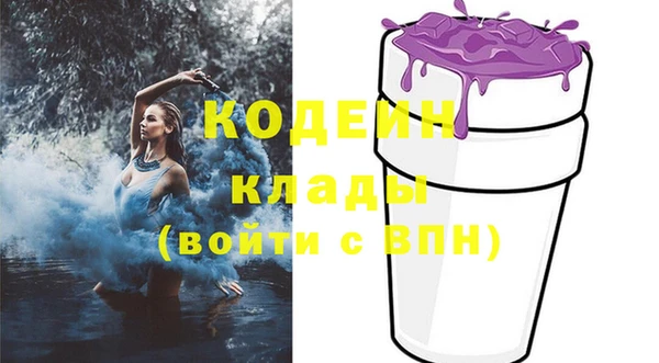 гашик Козловка