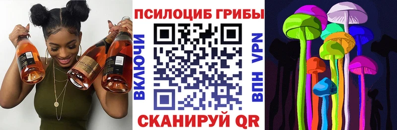 Галлюциногенные грибы Psilocybe  Лесозаводск 